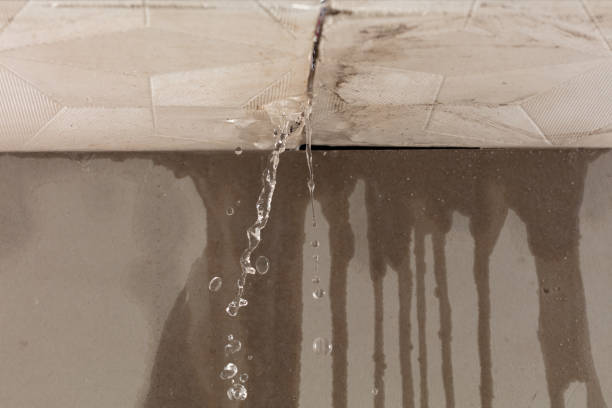 Professional Water Extraction technician working in Valhermoso Springs, AL